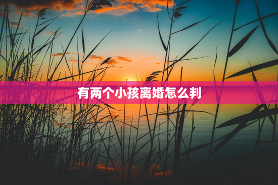 有两个小孩离婚怎么判