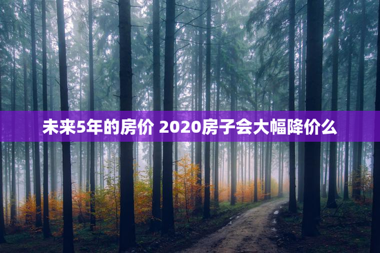 未来5年的房价 2020房子会大幅降价么