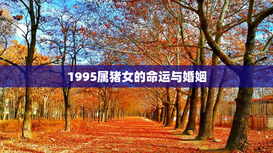 1995属猪女的命运与婚姻，姻缘配对 生辰八字
