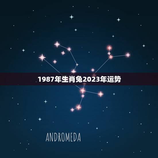 1987年生肖兔2023年运势(兔子迎来事业新起点)