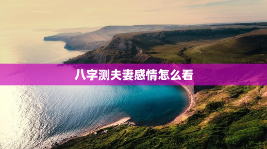 八字测夫妻感情怎么看，八字看夫妻婚姻如何