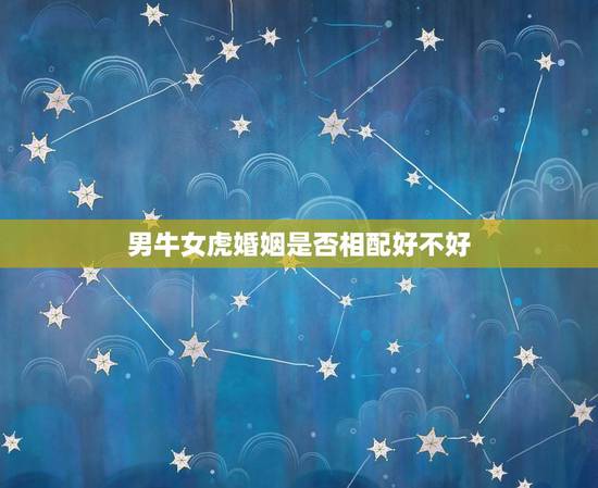 男牛女虎婚姻是否相配好不好(讨论十二生肖配对的奥秘)