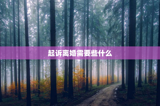 起诉离婚需要些什么