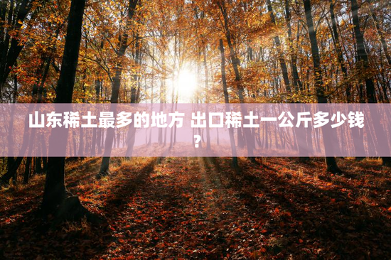 山东稀土最多的地方 出口稀土一公斤多少钱？