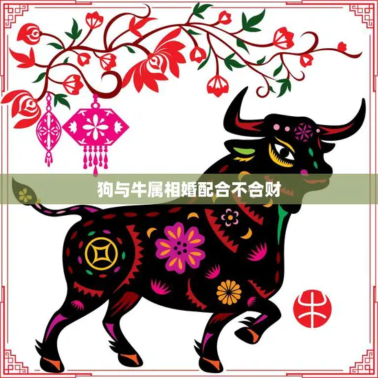 狗与牛属相婚配合不合财(你知道吗)