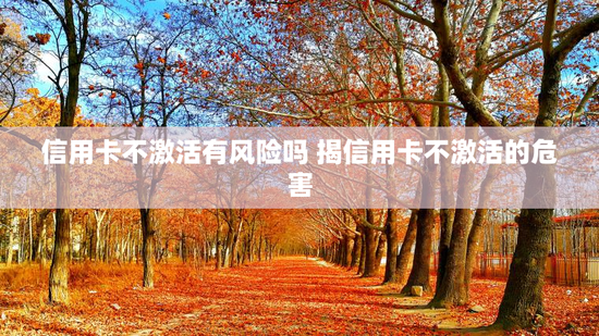 信用卡不激活有风险吗 揭信用卡不激活的危害