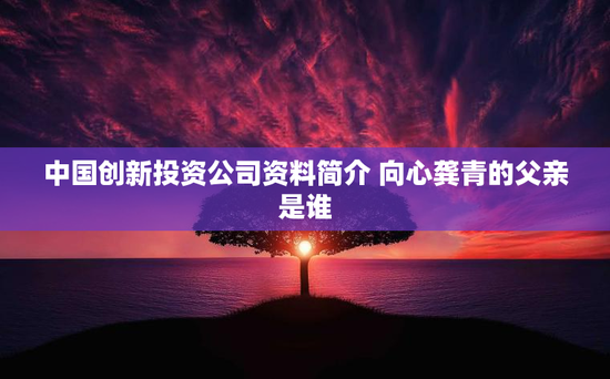 中国创新投资公司资料简介 向心龚青的父亲是谁