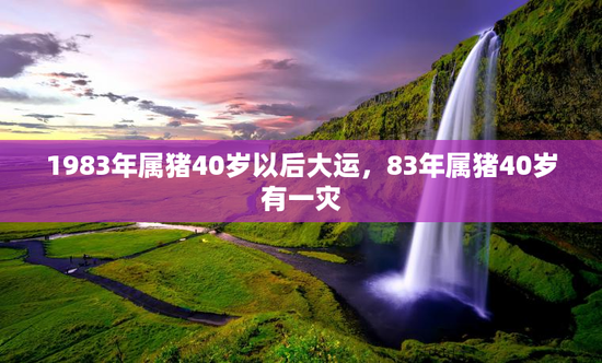 1983年属猪40岁以后大运，83年属猪40岁有一灾
