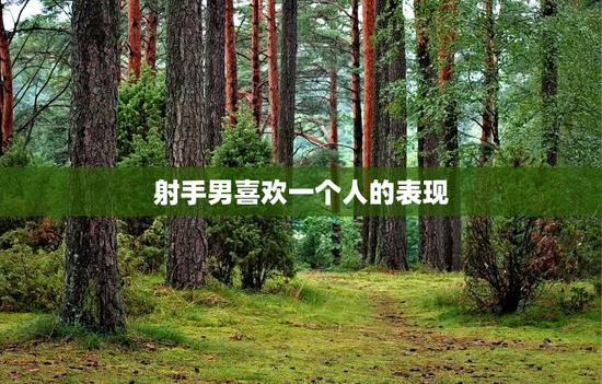 射手男喜欢一个人的表现