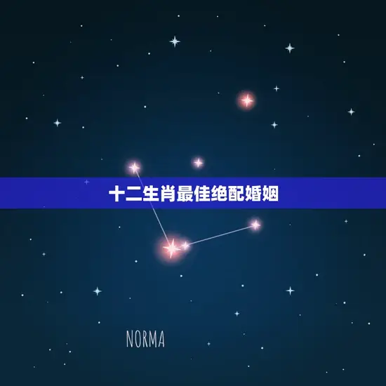 十二生肖最佳绝配婚姻