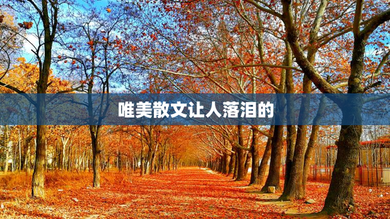 唯美散文让人落泪的