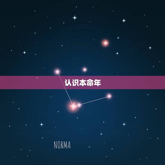 认识本命年