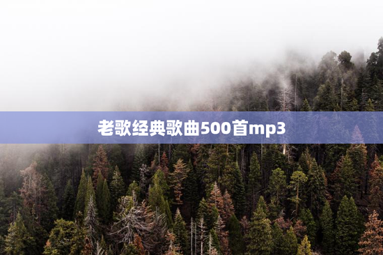 老歌经典歌曲500首mp3