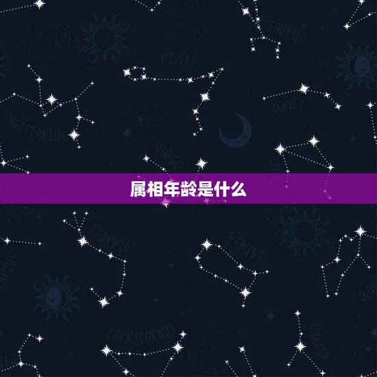属相年龄是什么