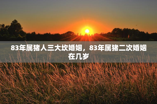 83年属猪人三大坎婚姻，83年属猪二次婚姻在几岁