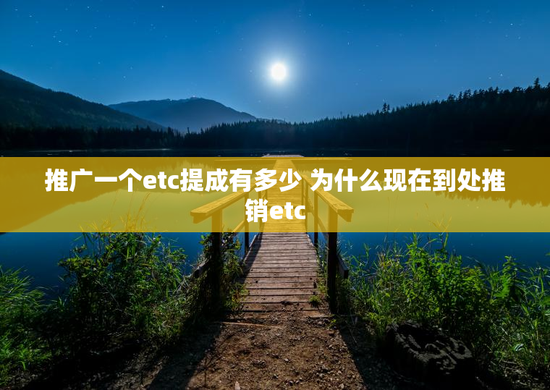 推广一个etc提成有多少 为什么现在到处推销etc