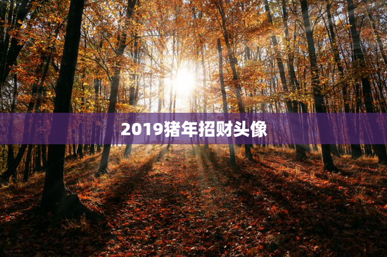 2019猪年招财头像