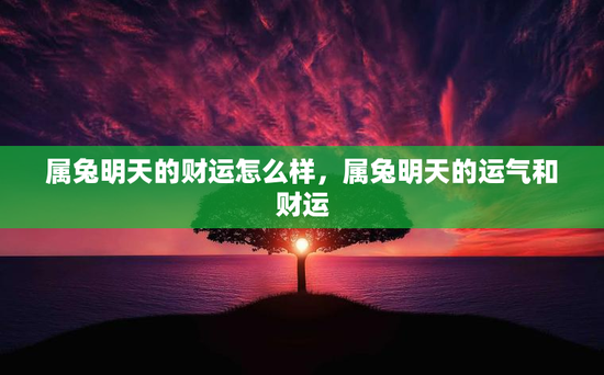 属兔明天的财运怎么样，属兔明天的运气和财运