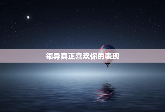 领导真正喜欢你的表现