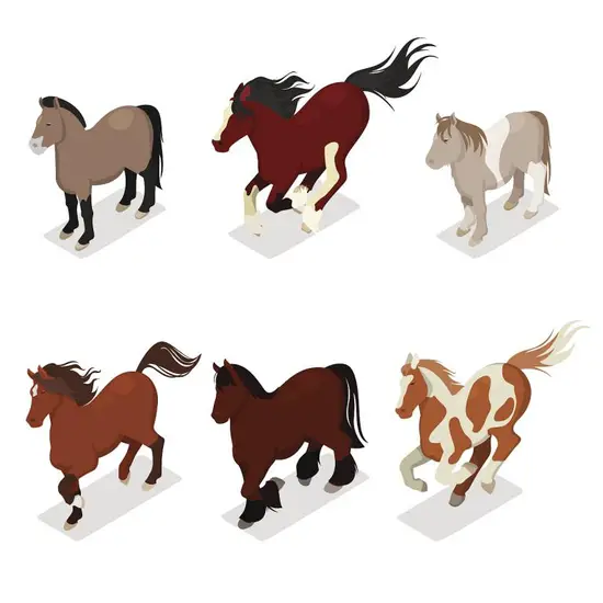 78年属马人今天的运势(好运连连财源滚滚)