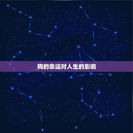 狗的命运对人生的影响