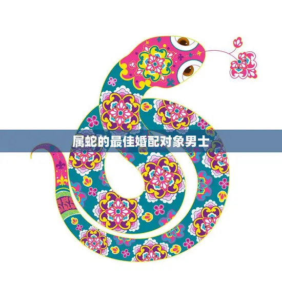 属蛇的最佳婚配对象男士(如何选择)