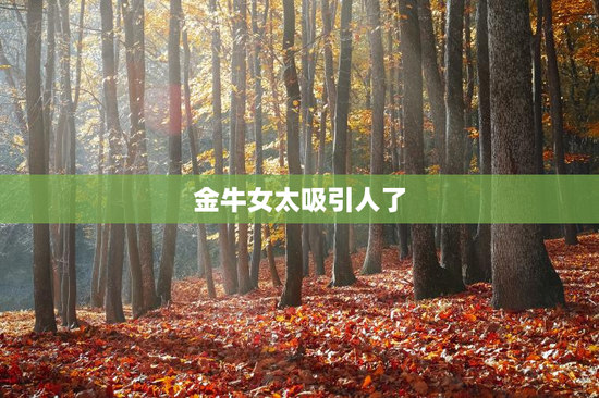 金牛女太吸引人了