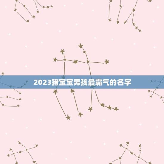 2023猪宝宝男孩最霸气的名字(如何选择推荐)