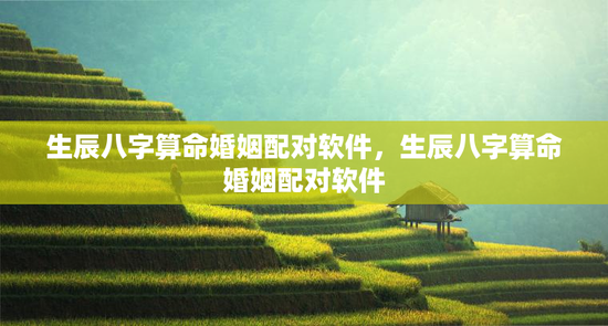 生辰八字算命婚姻配对软件，生辰八字算命婚姻配对软件
