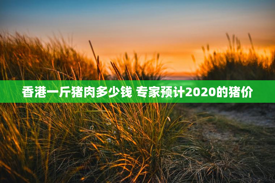 香港一斤猪肉多少钱 专家预计2020的猪价