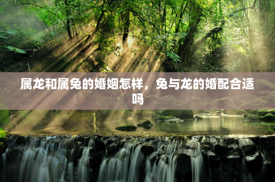 属龙和属兔的婚姻怎样，兔与龙的婚配合适吗