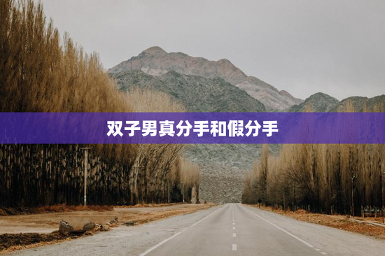 双子男真分手和假分手