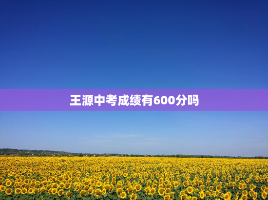 王源中考成绩有600分吗