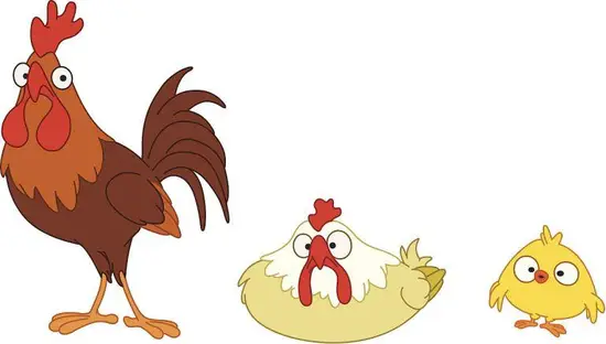 1981年属鸡今年运势(财运亨通事业有成)