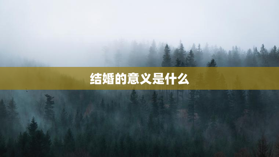 结婚的意义是什么