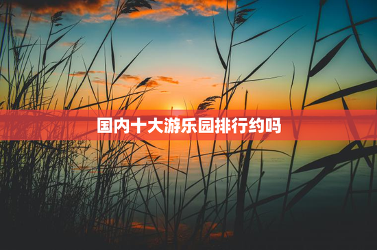 国内十大游乐园排行约吗
