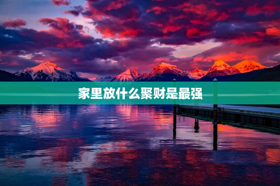 家里放什么聚财是最强