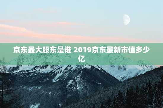 京东最大股东是谁 2019京东最新市值多少亿