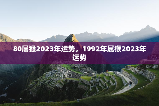 80属猴2023年运势，1992年属猴2023年运势