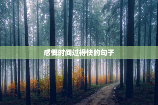感慨时间过得快的句子
