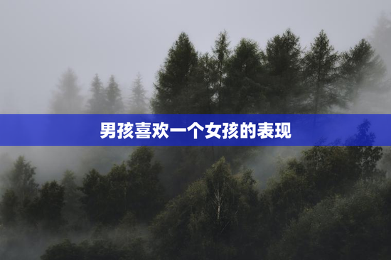男孩喜欢一个女孩的表现