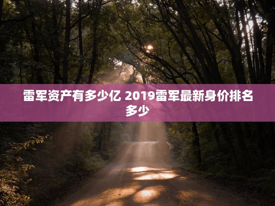 雷军资产有多少亿 2019雷军最新身价排名多少