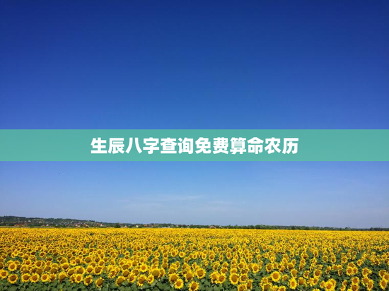 生辰八字查询免费算命农历，生辰八字在线查询免费