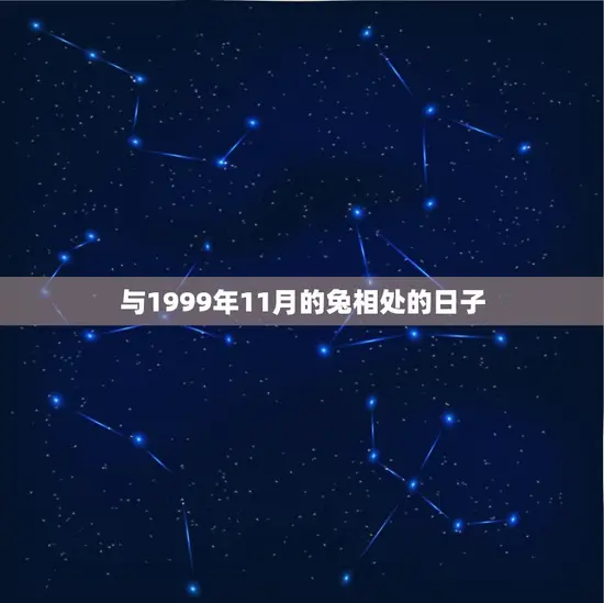 与1999年11月的兔相处的日子