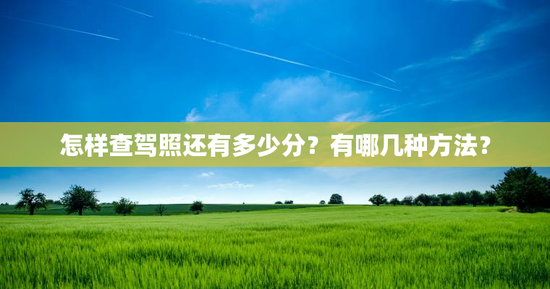 怎样查驾照还有多少分？有哪几种方法？