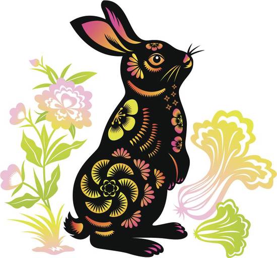 女孩名字23年属兔小名(如何选择)