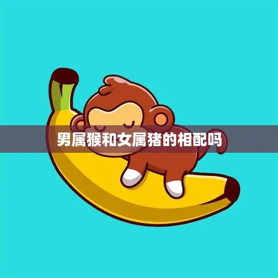 男属猴和女属猪的相配吗(如何看待这对属相组合)