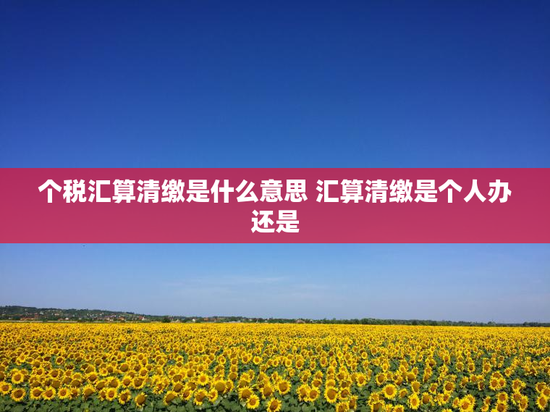 个税汇算清缴是什么意思 汇算清缴是个人办还是