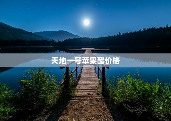 天地一号苹果醋价格