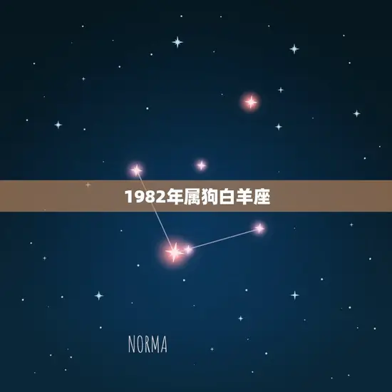 1982年属狗白羊座